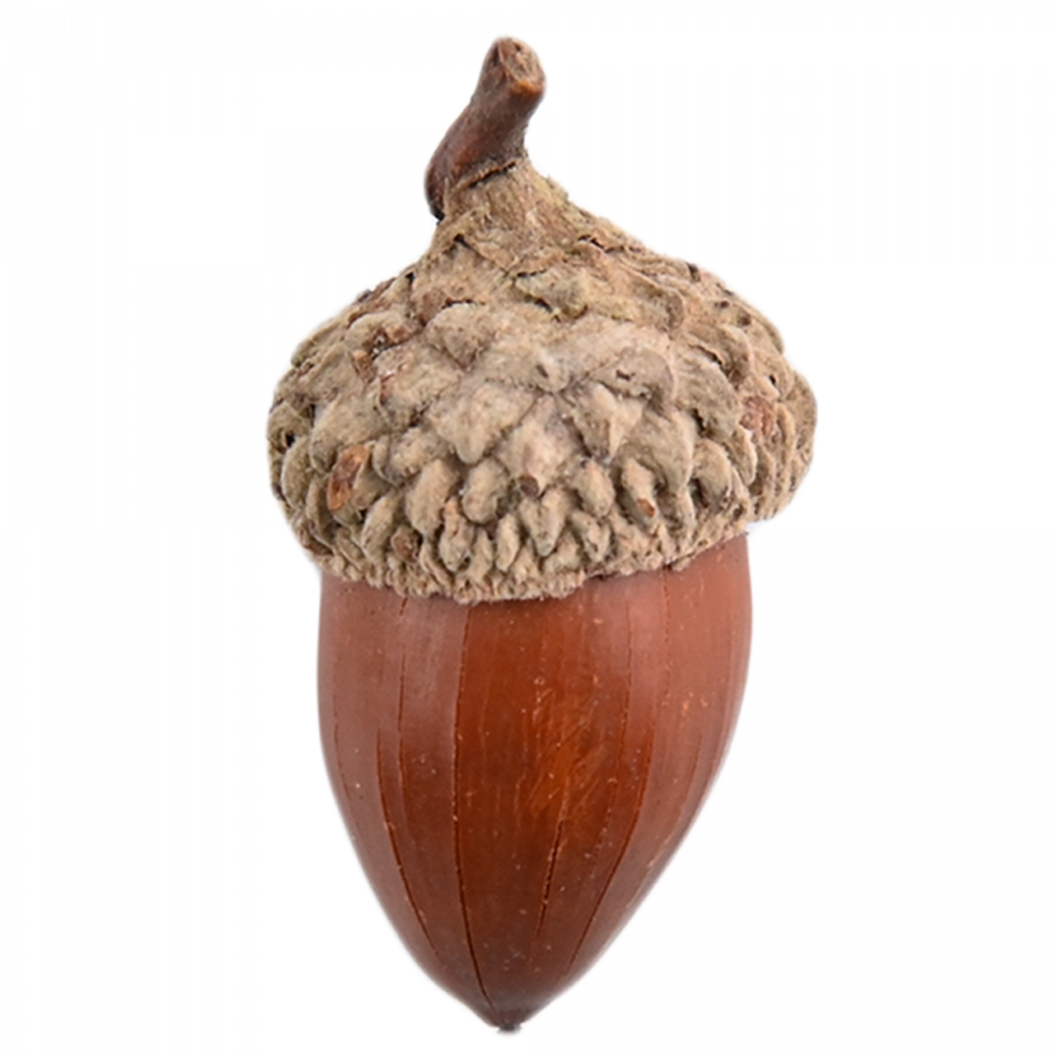 Gland de lait Tous les guides sur votre intimité